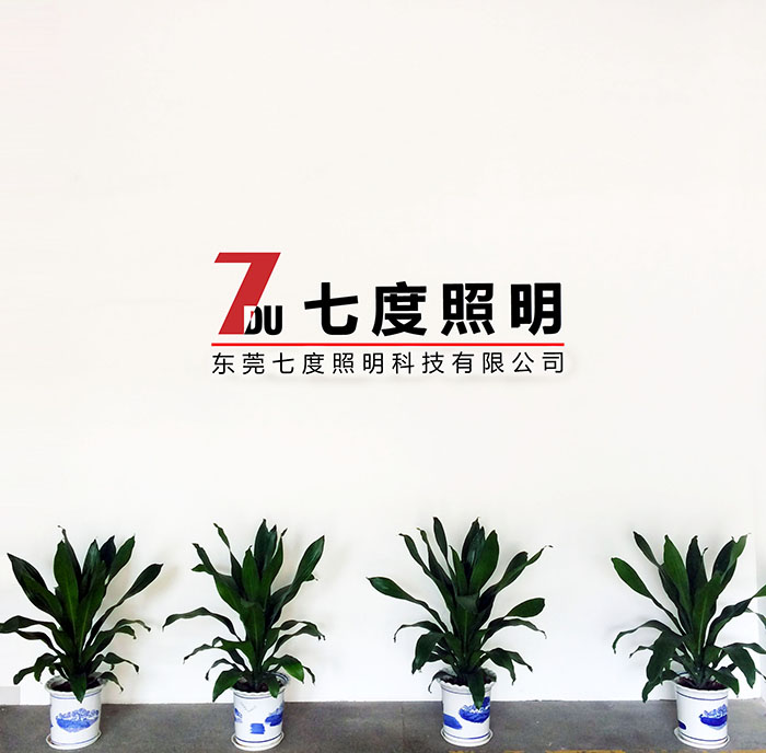 东莞91视频首页照明前台LOGO