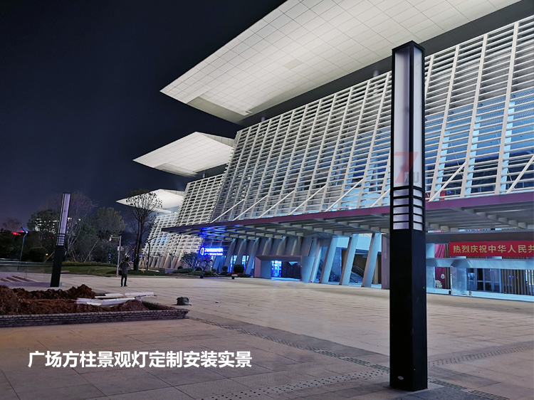 东莞市民服务中心广场中轴定制91视频成人官网安装实拍效果