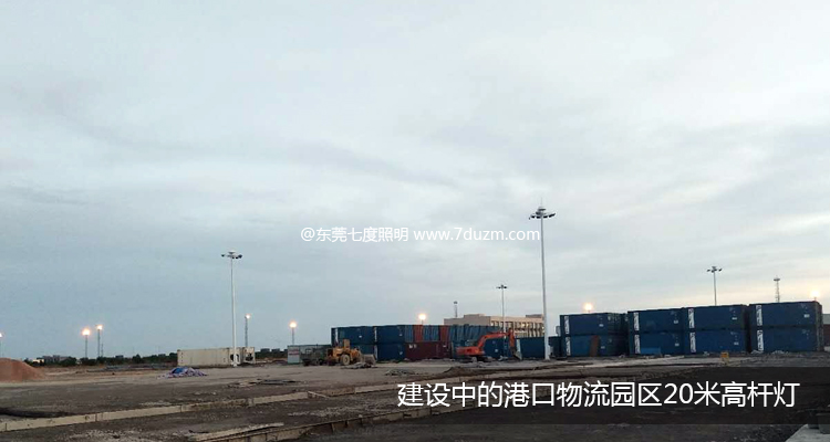 建设中的港口物流园区91视频小黄片安装效果展示